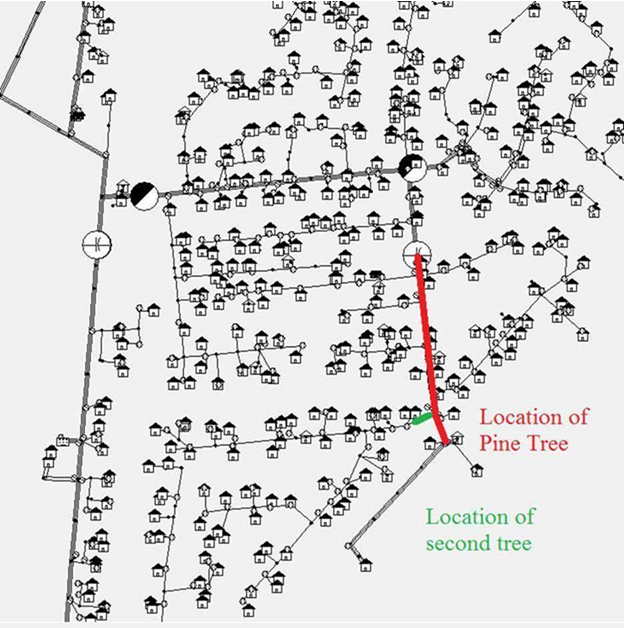 The targeted search area and the two trees.